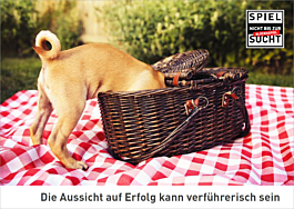 Postkarte Glücksspiel Hund: Die Aussicht auf Erfolg...