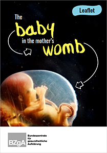 Das Bild zeigt eine Vorschau des Mediums "The baby in the mother's womb"