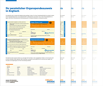 PDF Der Organspendeausweis in verschiedenen Sprachen