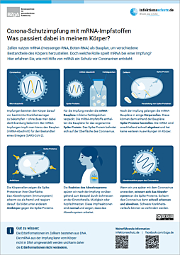 PDF Infografik – Corona-Schutzimpfung mit mRNA-Impfstoffen